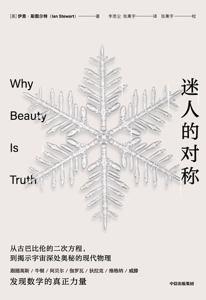 迷人的对称 cover