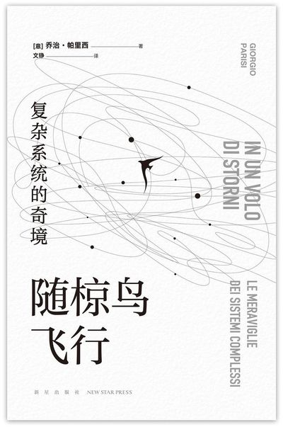 随椋鸟飞行 cover